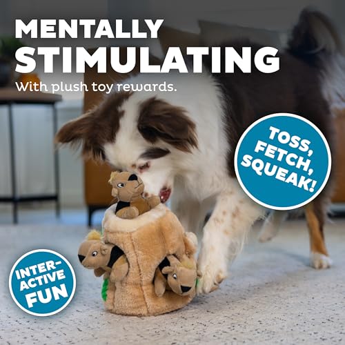 Outward Hound Pet Toy in Medium (Pack of 12), Squirrel Medium