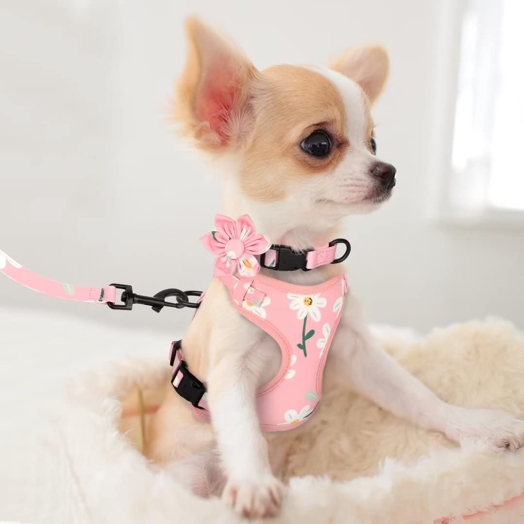 Beirui Animal Harness in XXS:Fit 2-6 lbs, Pink