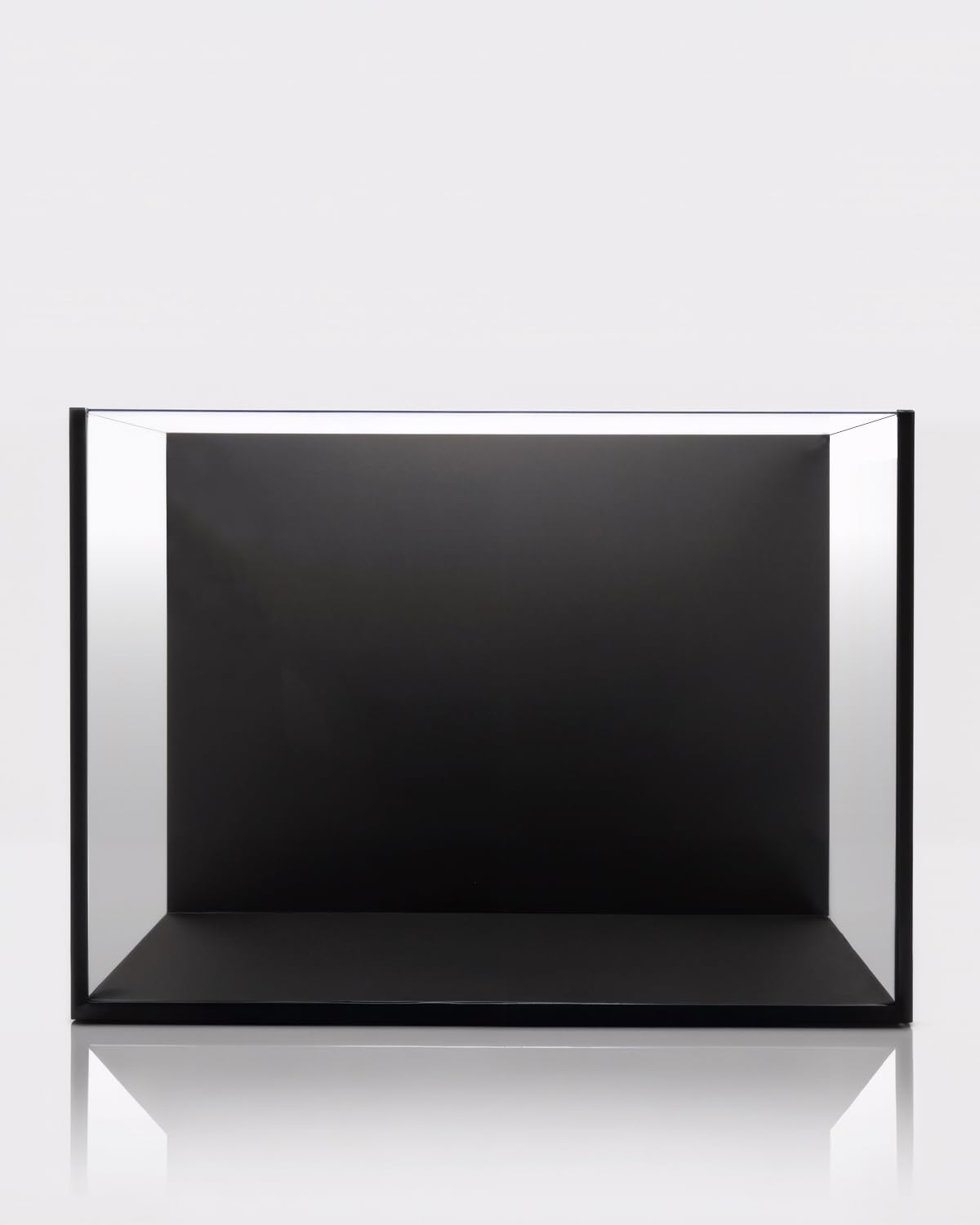 minilake Vivarium in 3 Gallon, Black