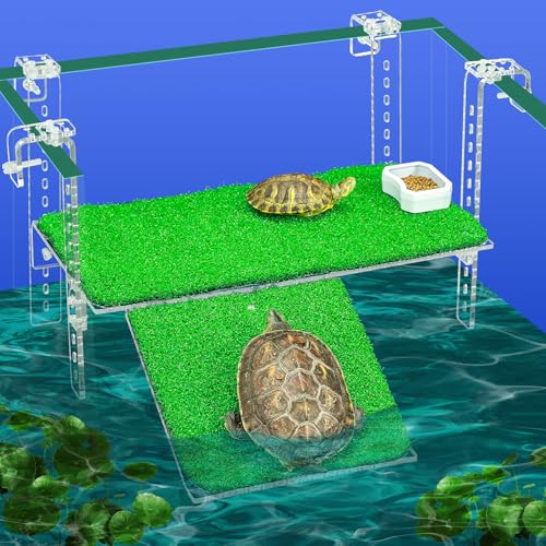 Bluecoco Animal Shelter in 15x8.1 Inch, Transparent