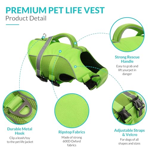 Queenmore Pet Apparel in X-Small, Green