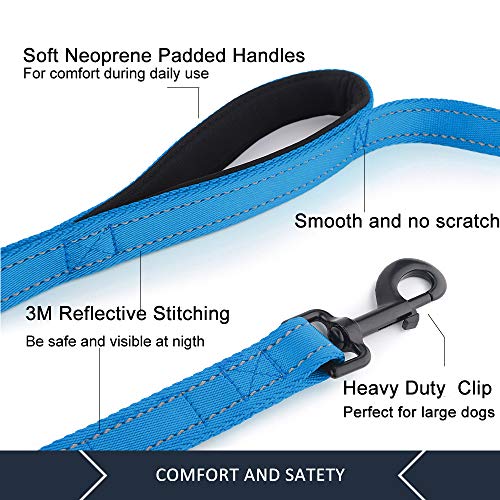 PLUTUS PET Leash in 4 FT, Blue