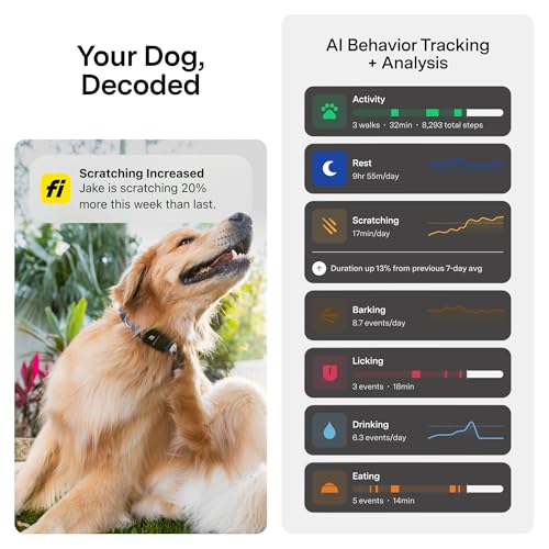 Fi Location Tracker in Small, Blue