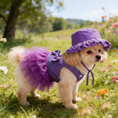 apott Pet Apparel in Small, Purple
