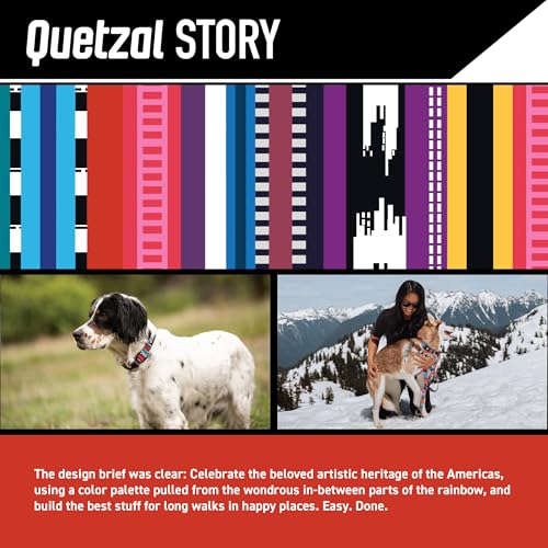 Wolfgang Man & Beast Animal Collar in Medium (1 Inch x 12-18 Inch), Quetzal Print