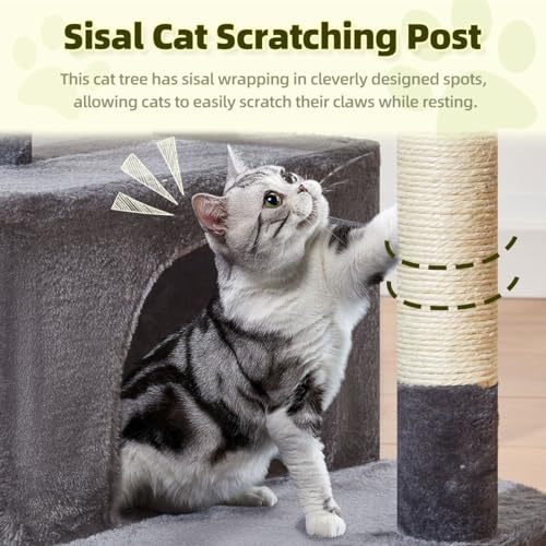 Taoqimiao Pet Activity Structure in L, Smoky Gray