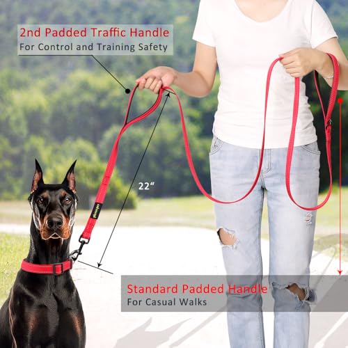 PLUTUS PET Leash in 6 FT, Red
