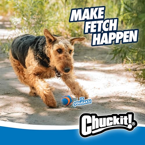 Chuckit! Pet Toy in Medium, Squeaker