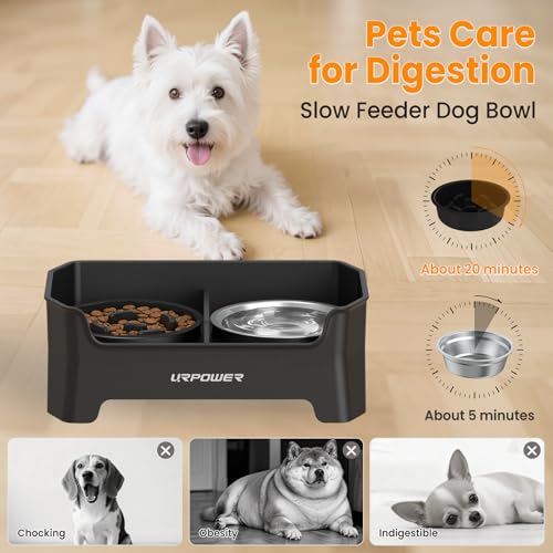 URPOWER Pet Feeder in Small, Black