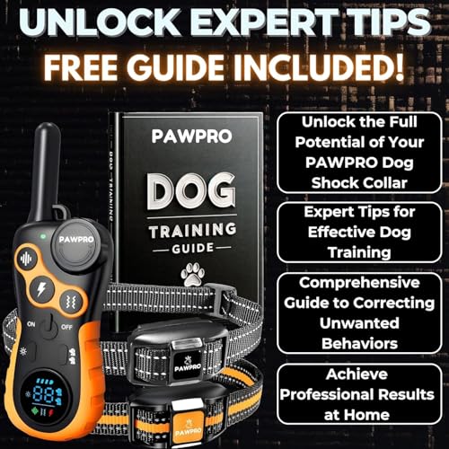 PAWPRO Animal Collar in 2 Collars - Orange, Orange