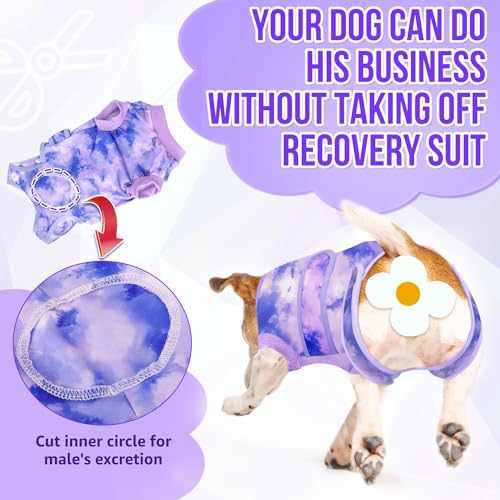 SlowTon Pet Apparel in Small, 2.Purple - 100% Polyester