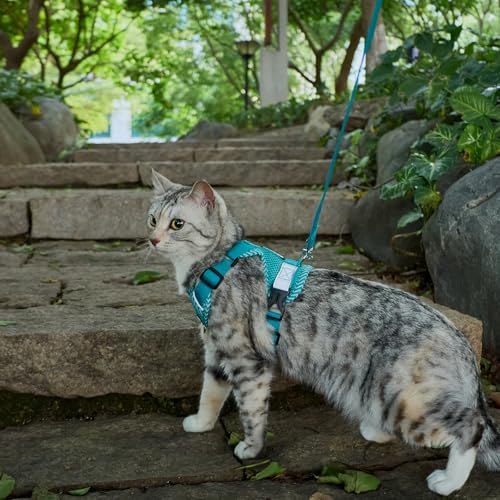 pangdi Pet Supplies in XX-Large, Turquoise
