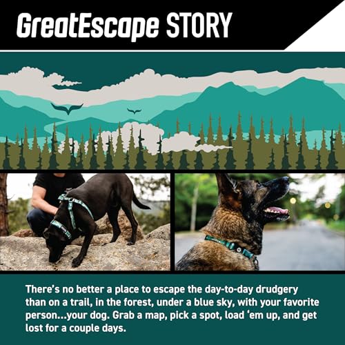 Wolfgang Man & Beast Animal Collar in Small (5/8 Inch x 8-12 Inch), GreatEscape Print