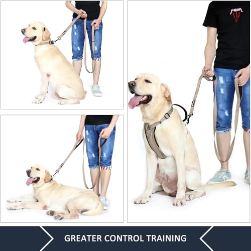 PLUTUS PET Leash in 4 FT, Beige