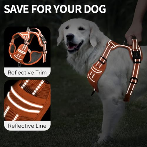 HEELE Animal Harness in S, Pumpkin Orange