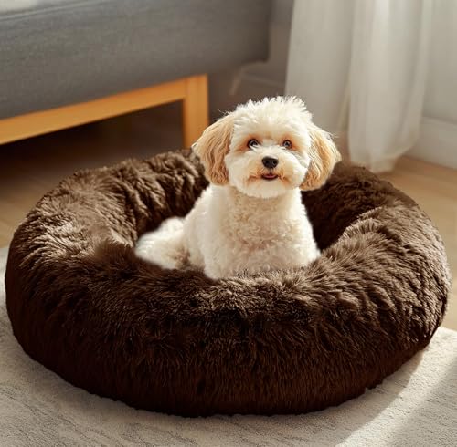 JOLLYVOGUE Pet Bed Mat in 23", Coffee