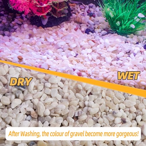 CJGQ Raw Materials in 2.4 LB, Mix Color Style 1