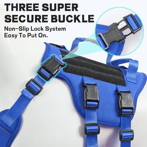 Jane Shine Animal Harness in S(Neck:14-18",Chest:17-24"), Blue