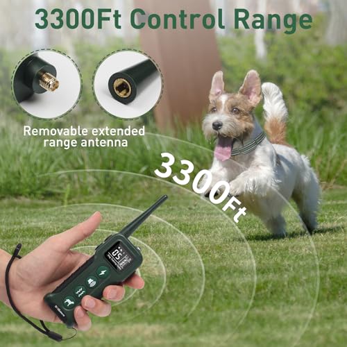 DOGLinsen Animal Collar in Adjustable, Green