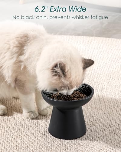 vancasso Pet Feeder in 2 Pack-Food & Water Bowls, Black