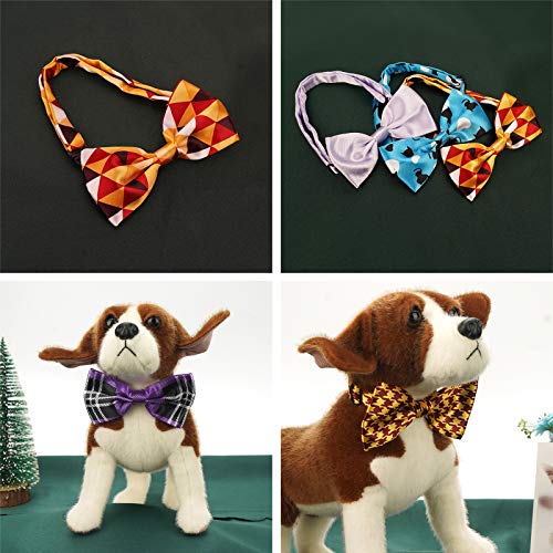 Segarty Pet Apparel in Medium, 40pcs-Various