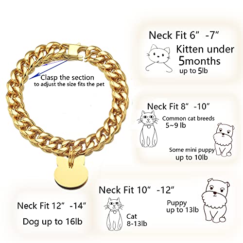 Abaxaca Animal Collar in Kitten Neck 10"-12", Blue,Gold,Golden,Gray,White