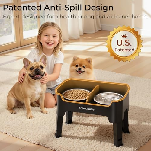 URPOWER Pet Feeder in Small, Matte Black