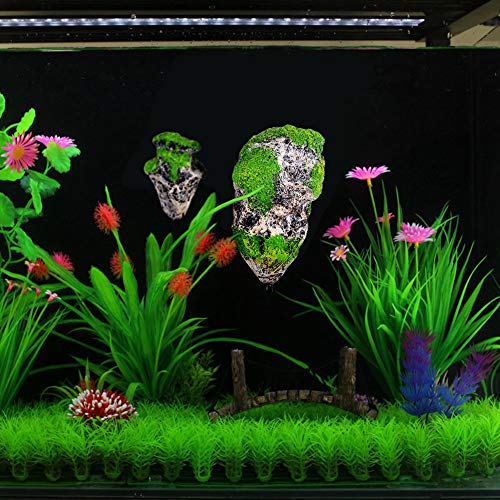 Sheens Pet Supplies in Small