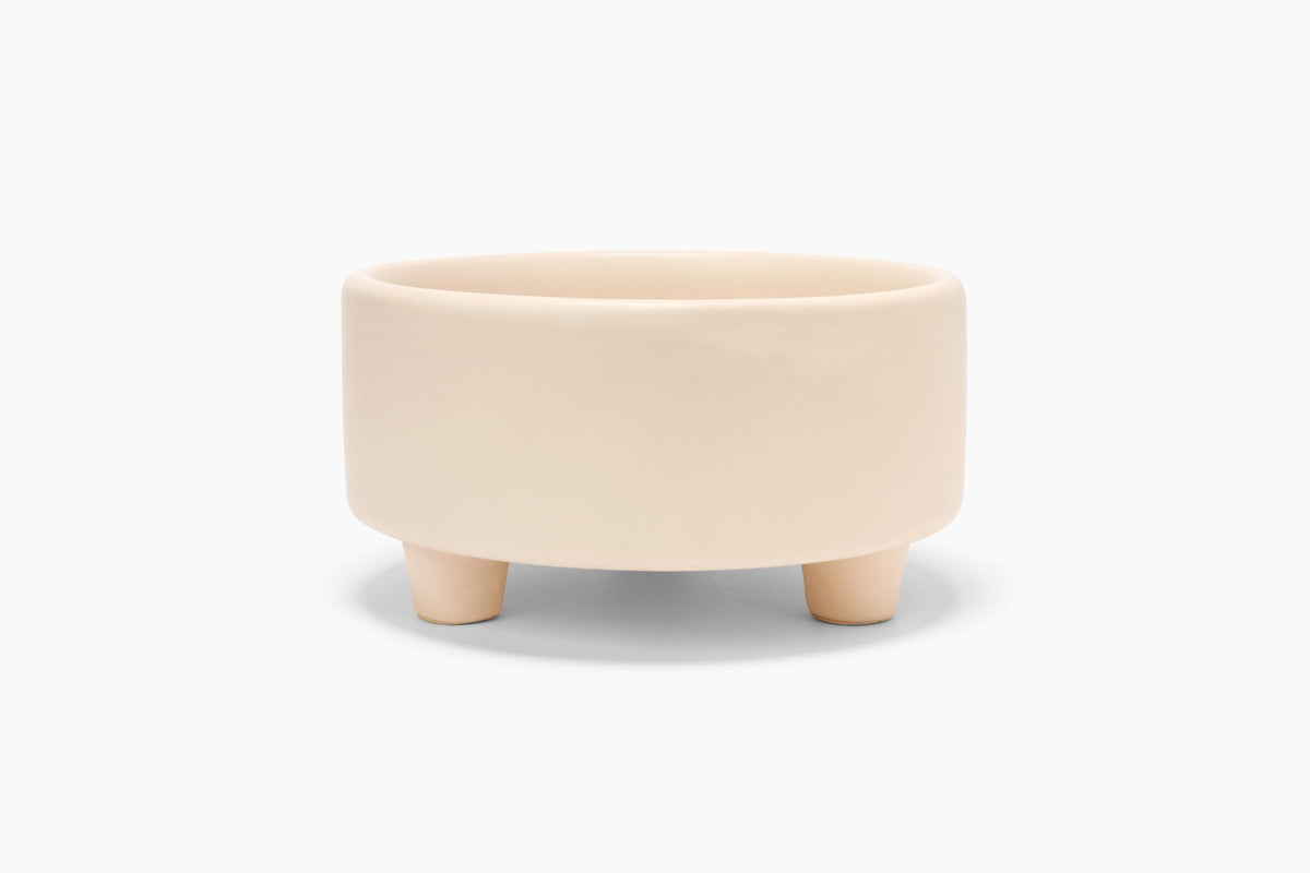 Waggo Pet Feeder in Small, Buttercream
