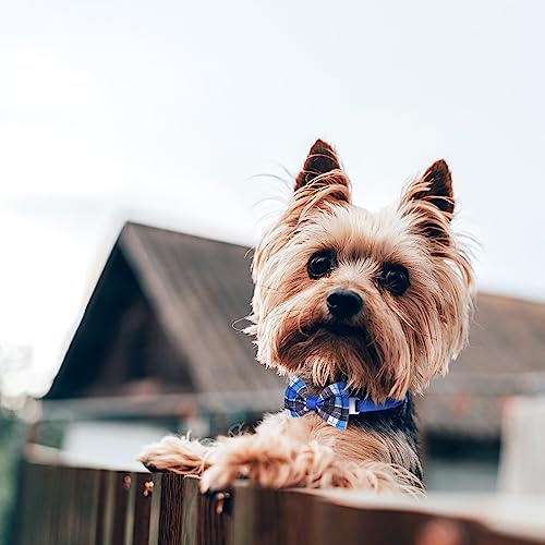 Segarty Pet Apparel in Large, 40pcs-plaid