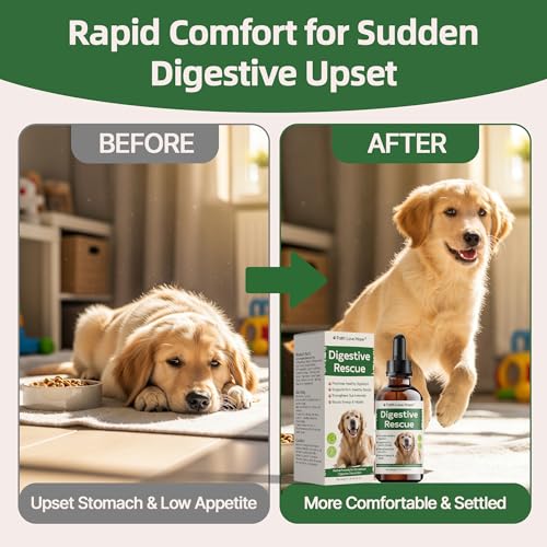 Faith Love Hope Pet Supplies in no