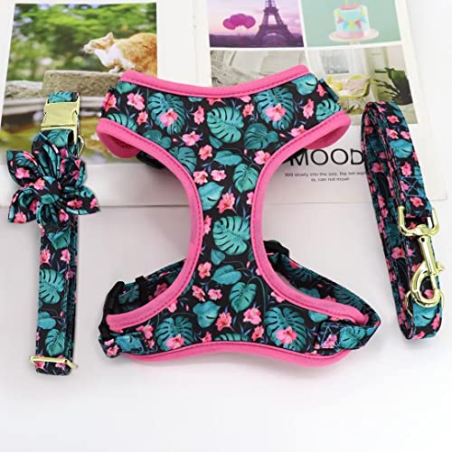 Beirui Animal Harness in XS:Fit 6-12 lbs, Green