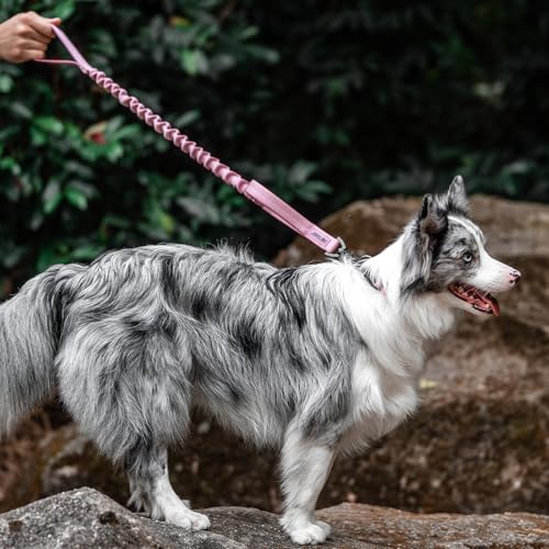 ONETIGRIS Leash in 85cm-118cm/33.5in-46.5in, Pink