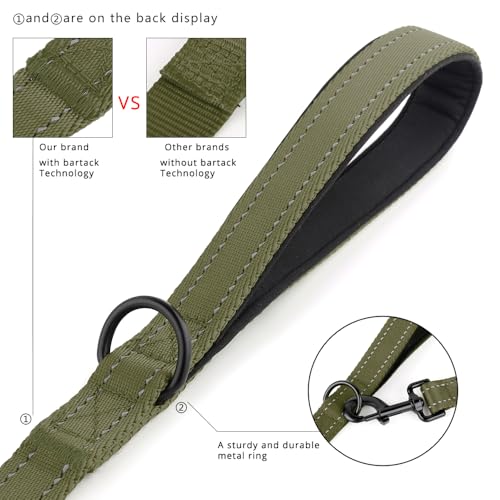 PLUTUS PET Leash in 4 FT, Ranger Green