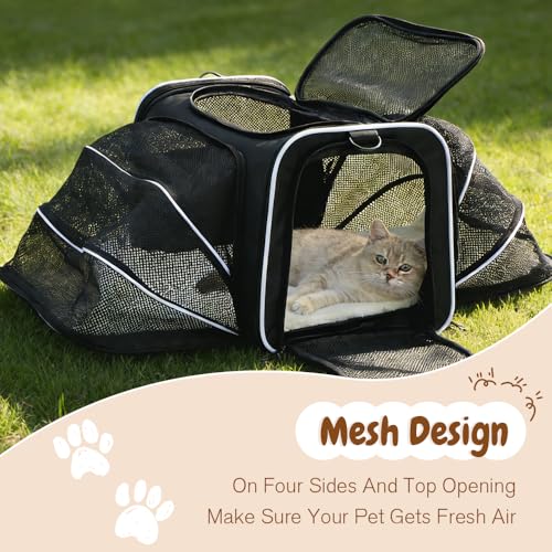 Srinlon ㅤ Animal Carrier in 18.0"L x 11.0"W x 11.0"H, Black