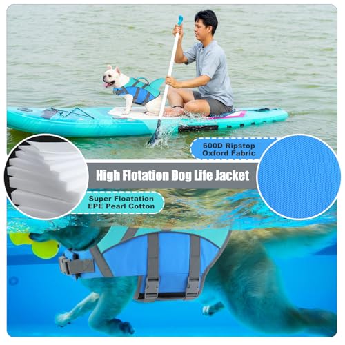 Doglay Pet Apparel in X-small, Blue+Aquagreen