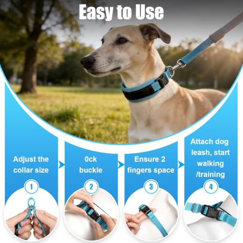 NozlaID Animal Collar in XL(23"-28"), Blue