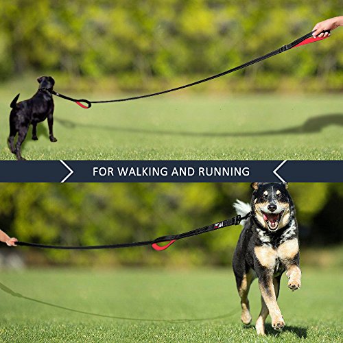 PLUTUS PET Leash in 4 FT, Black