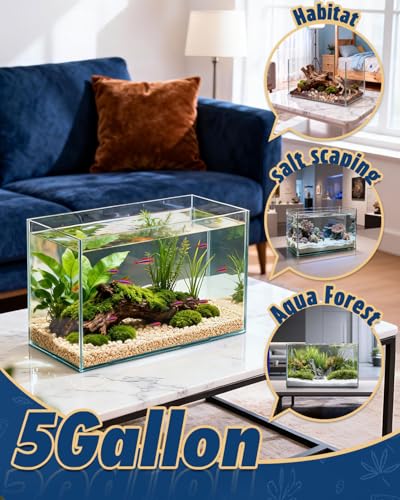 minilake Vivarium in 5 Gallon, Transparent