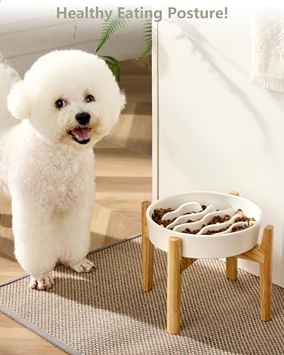MOPANG Pet Feeder in 6 Inches, White + Stand