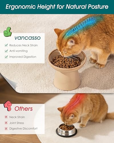 vancasso Pet Feeder in Brown