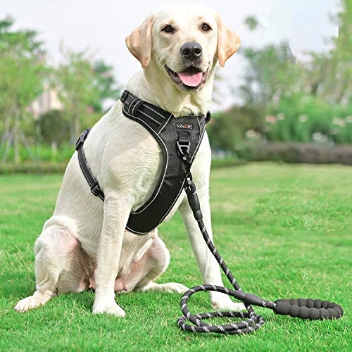 tobeDRI Animal Harness in X-Large, Black