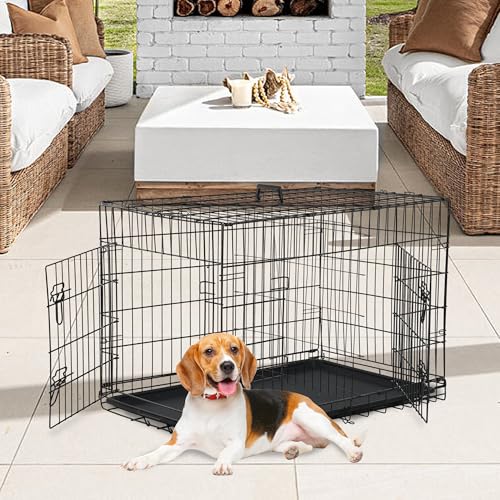 FDW Animal Cage in 36.0"L x 22.0"W x 24.0"H, Black