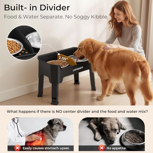 URPOWER Pet Feeder in Medium, Black