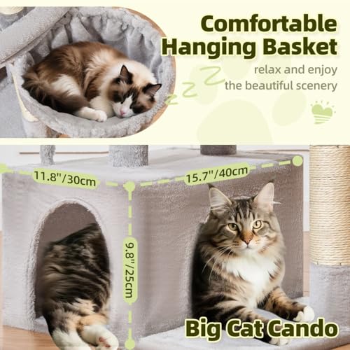 Taoqimiao Pet Activity Structure in L, Light Gray
