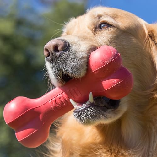 KONG Pet Toy in Small (Pack of 1), Red