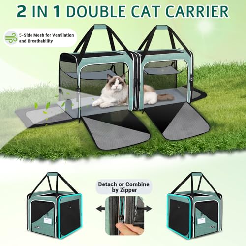 Petskd Animal Carrier in 38.0"L x 17.0"W x 18.0"H, Green