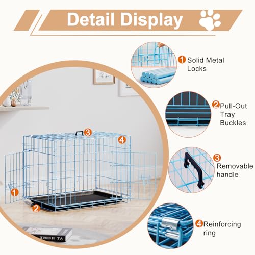 FDW Animal Cage in 24.0"L x 16.0"W x 19.0"H, Blue