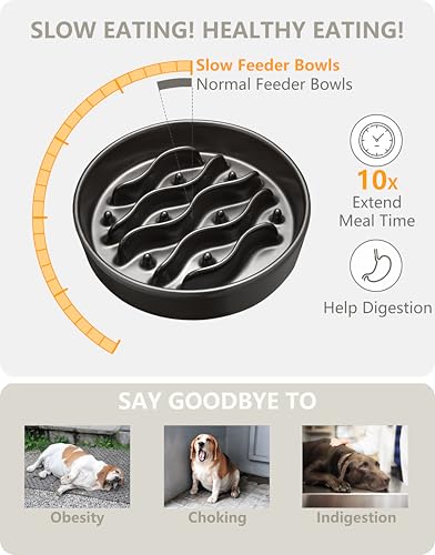 MOPANG Pet Feeder in 8 Inches, Black