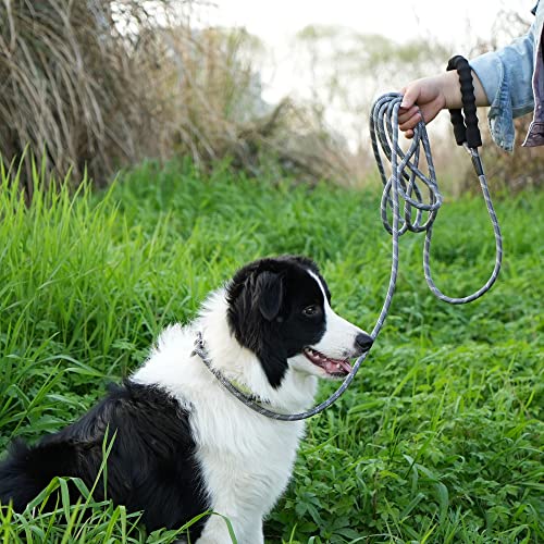 NTR Leash in 15ft*3/8", Grey
